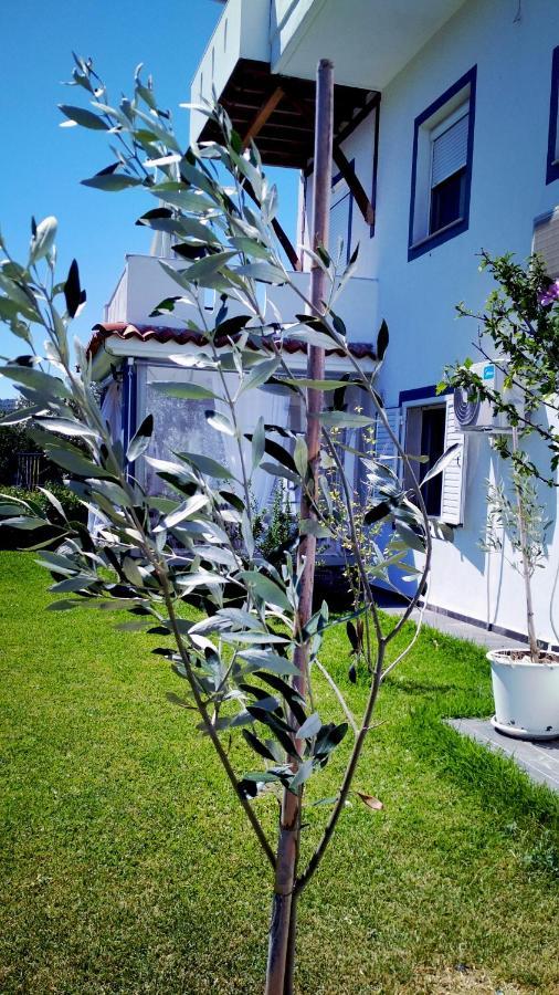 Zephyros Family Apartments 1 Ormos Panagias Exterior foto